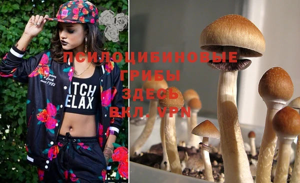 мефедрон Киреевск