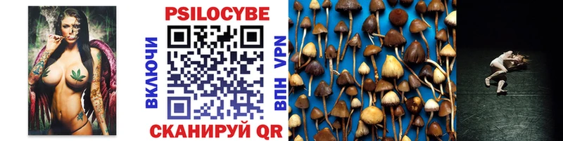 Галлюциногенные грибы GOLDEN TEACHER  продажа наркотиков  Медвежьегорск 